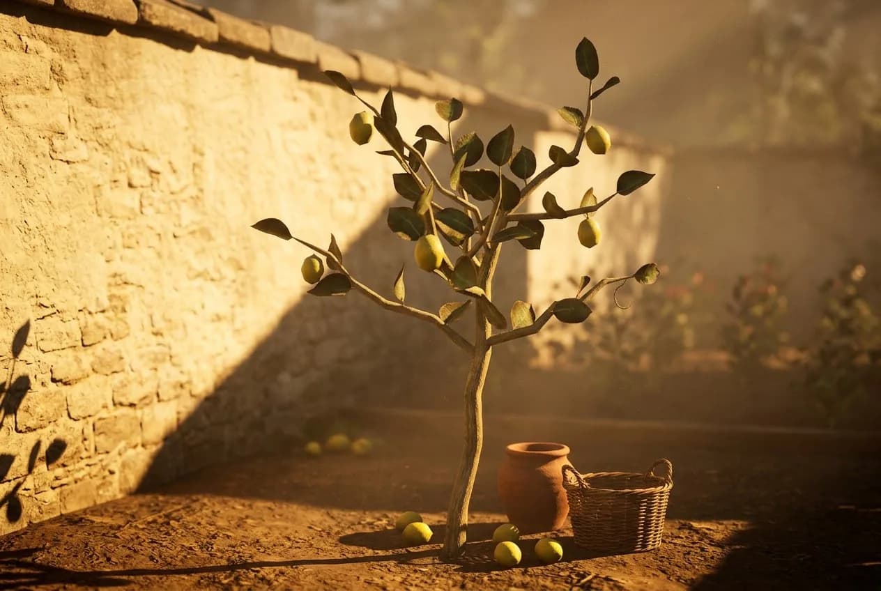 Lemon Tree