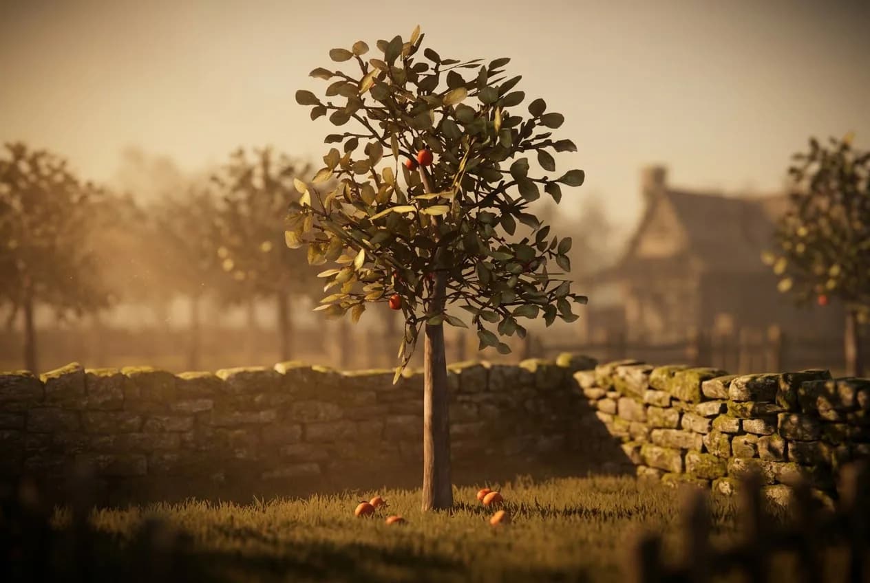 Apple Tree