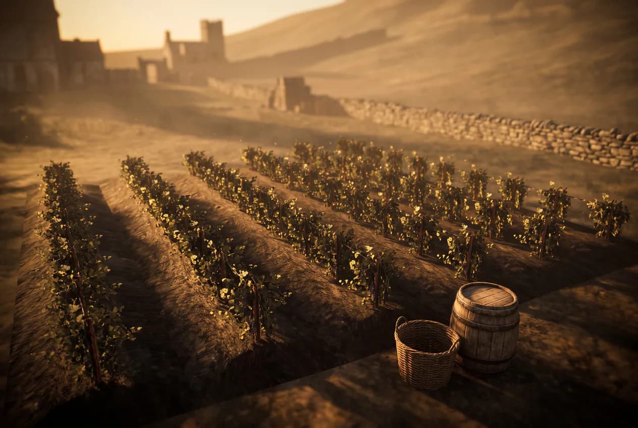 Medium Vineyard